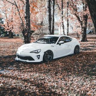 Sports car autumn wallpaper