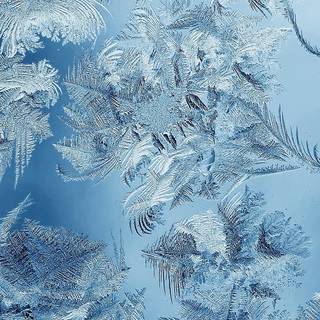 Winter pattern iPhone wallpaper