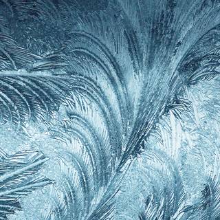 Winter pattern iPhone wallpaper