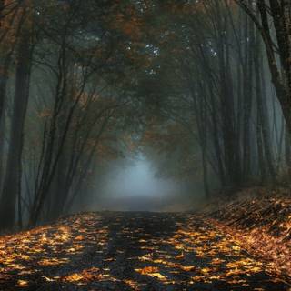 Windows dark autumn wallpaper