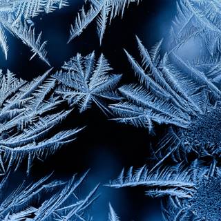 Winter pattern iPhone wallpaper