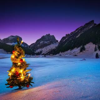 Winter holidays desktop wallpaper