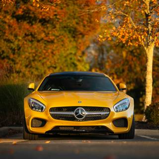 Sports car autumn wallpaper