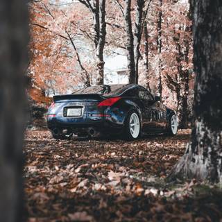 Sports car autumn wallpaper