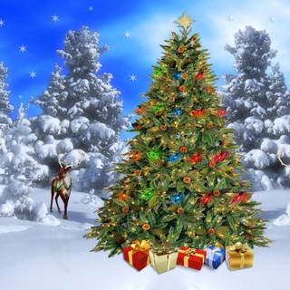 Winter holidays desktop wallpaper