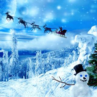 Winter holidays desktop wallpaper