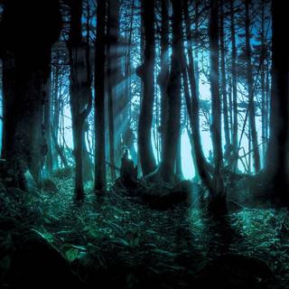 Windows dark autumn wallpaper