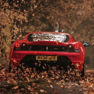 Sports car autumn wallpaper