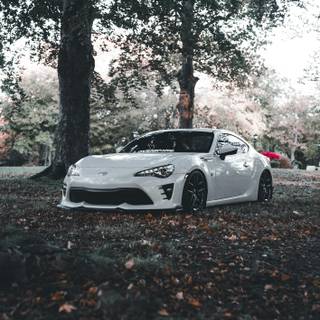 Sports car autumn wallpaper