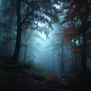 Windows dark autumn wallpaper