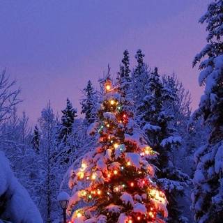 Snow and Christmas lights wallpaper
