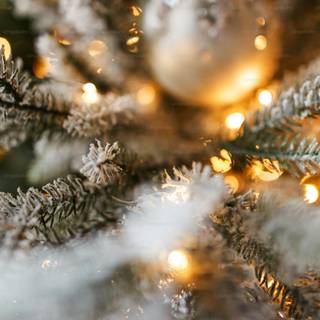 Snow and Christmas lights wallpaper