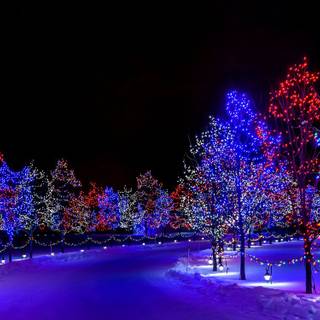 Snow and Christmas lights wallpaper