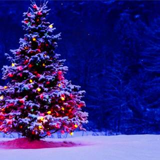 Snow and Christmas lights wallpaper