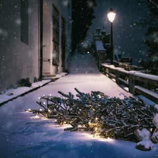 Snow and Christmas lights wallpaper