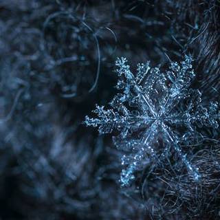Winter textures wallpaper