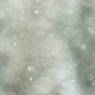 Winter textures wallpaper