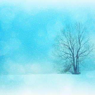 Winter textures wallpaper