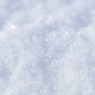 Winter textures wallpaper