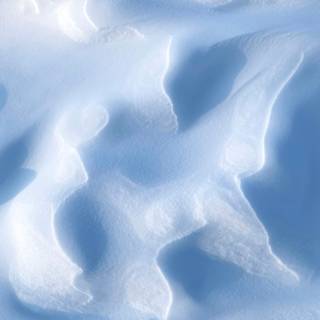 Winter textures wallpaper