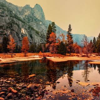 4k autumn nature wallpaper