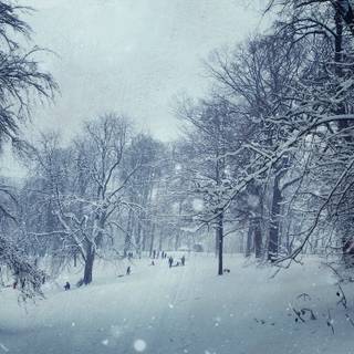 Winter textures wallpaper