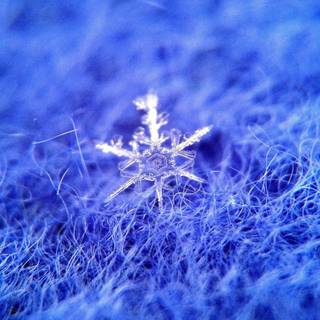 Winter textures wallpaper