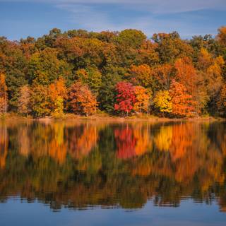 4k autumn nature wallpaper