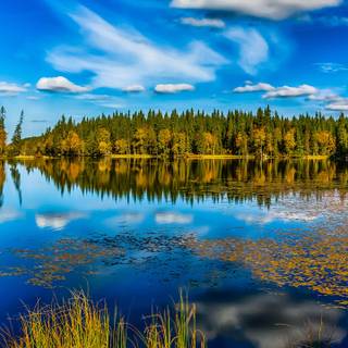 4k autumn nature wallpaper