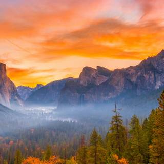 Autumn nature vertical wallpaper