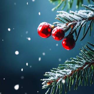 Red blue Christmas wallpaper