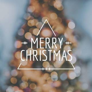 Preppy Christmas trees wallpaper