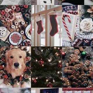 Preppy Christmas dog wallpaper