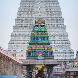 Annamalaiyar Temple wallpaper