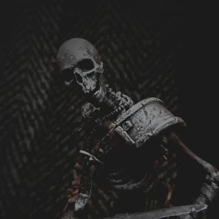 Skeleton warrior wallpaper