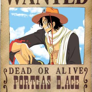 Ace bounty wallpaper