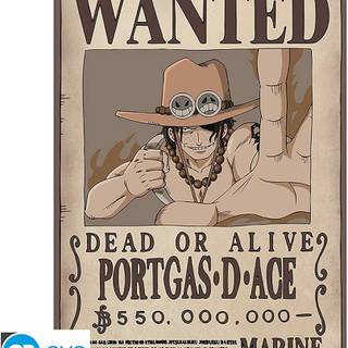 Ace bounty wallpaper