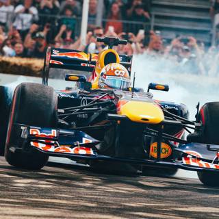 F1 celebration wallpaper