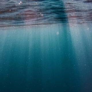 Underwater 4k iPhone wallpaper