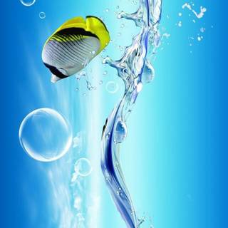 Underwater 4k iPhone wallpaper