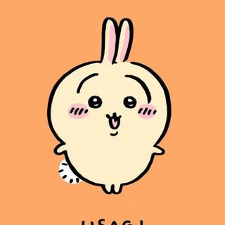 Usagi Chiikawa wallpaper