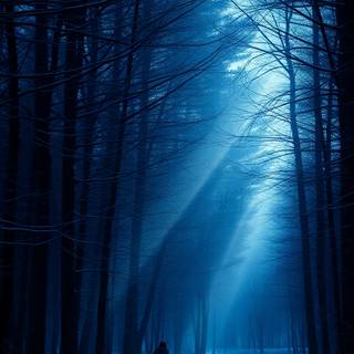 Dark snow phone wallpaper