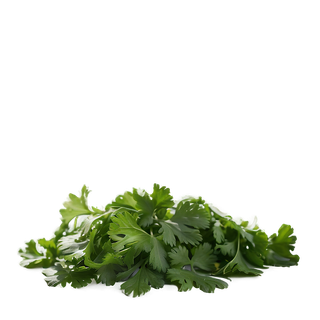 Cilantro wallpaper