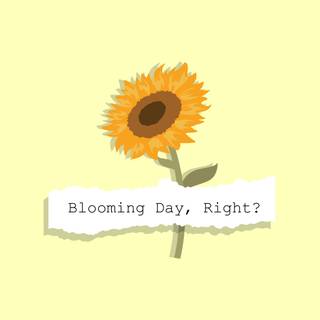 Sunflower laptop wallpaper