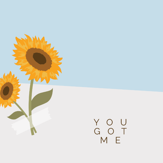 Sunflower laptop wallpaper