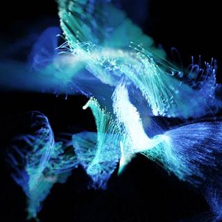 Animated desktop wallpaper