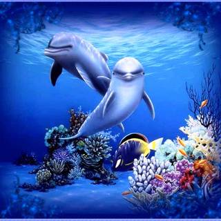 Animated desktop wallpaper