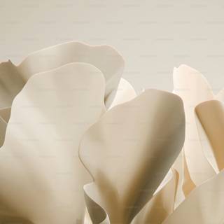 Beige aesthetic laptop wallpaper