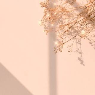 Beige aesthetic laptop wallpaper