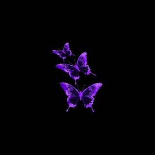 Purple and black aesthetic wallpaper